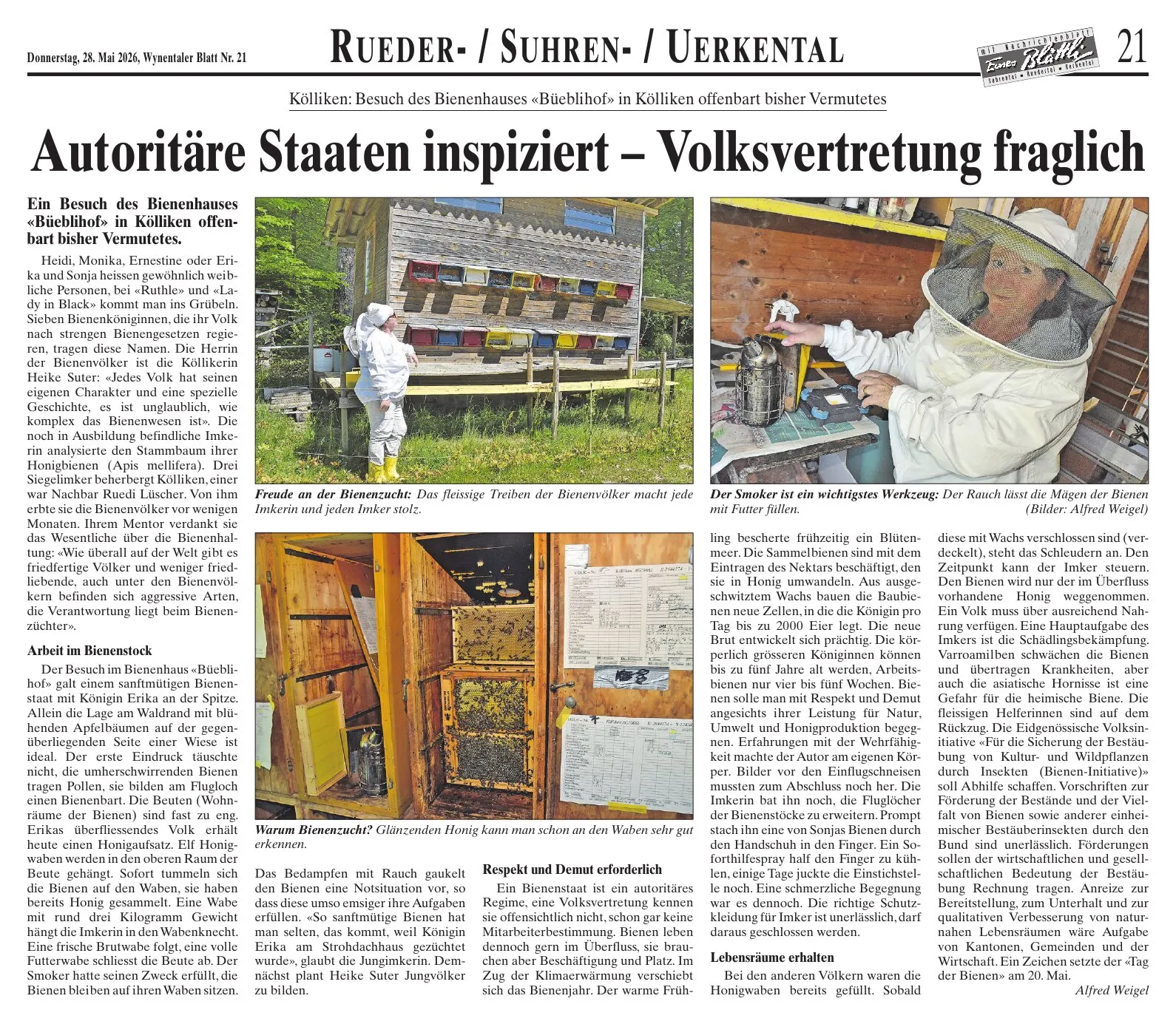 Zeitungsausschnitt: Autoritäre Staaten inspiziert – Volksvertretung fraglich, Wynentaler Blatt